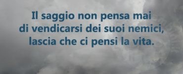 frase saggio