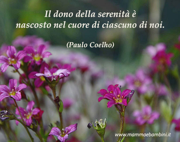 Le frasi piu' belle 1 frase serenita