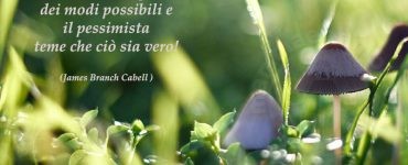 frase sullottimista