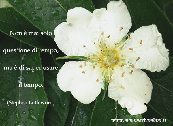 Le frasi piu' belle 1 frase tempo 1