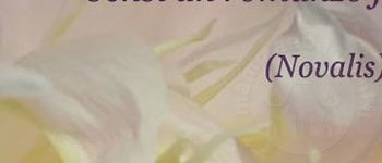 frase vita1