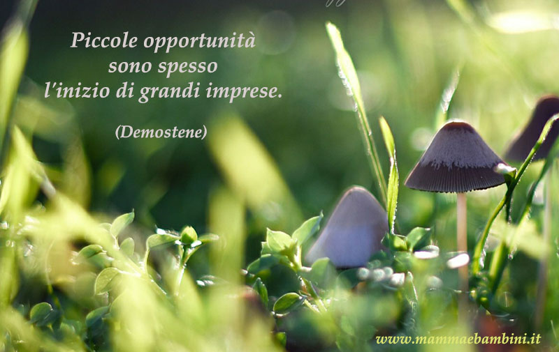 Frase del giorno 8 aprile sulle grandi imprese 1 frase opportunita