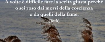 frase scelta giusta