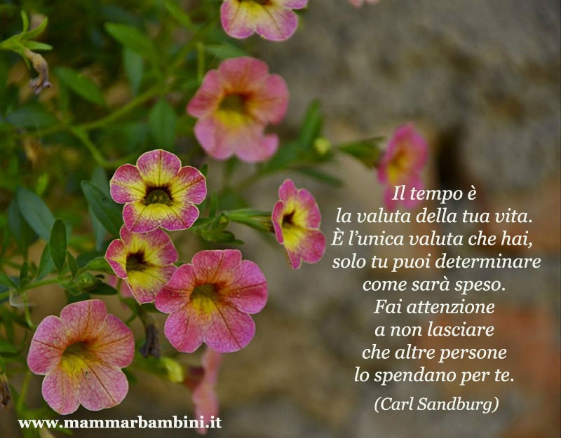 Frase del giorno 03.05 tempo 1 frase tempo