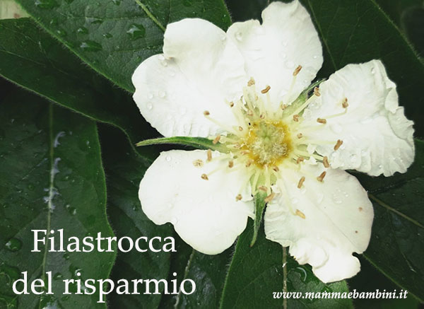 Filastrocca del risparmio 1 filastrocca del risparmio