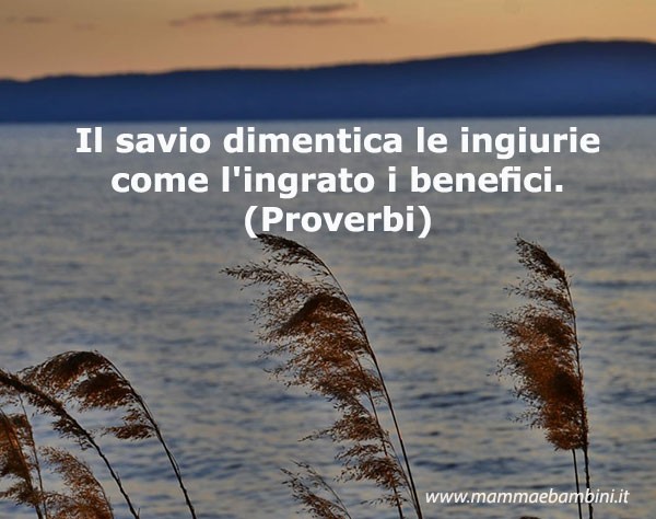 La frase del giorno del 23 agosto 1 frase savio