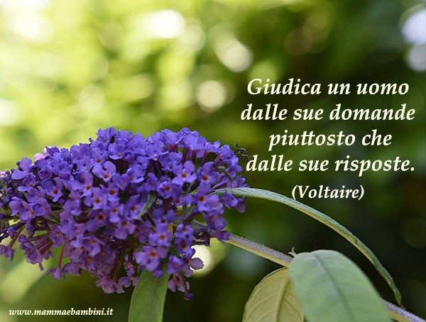 Frase del giorno 28 settembre su giudicare 1 frase domande e risposte