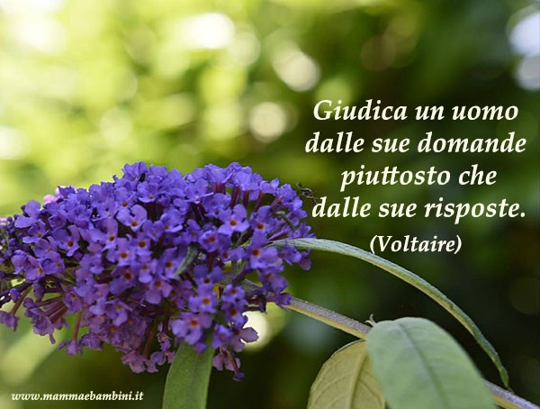 frase domande e risposte