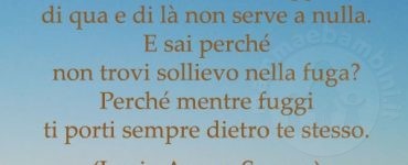 frase sollievo