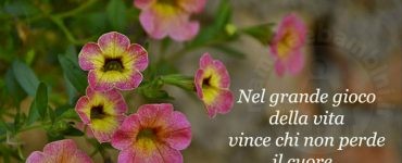 frase vita
