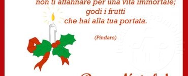 frase frutti della vita