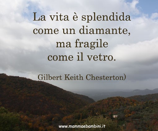 frase vita