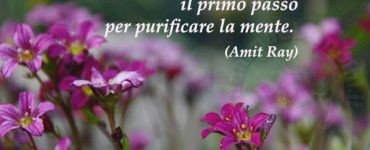 frase bellezza natura