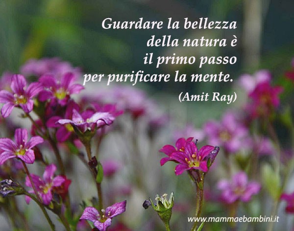 frase bellezza natura