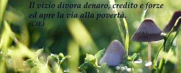 frase poverta