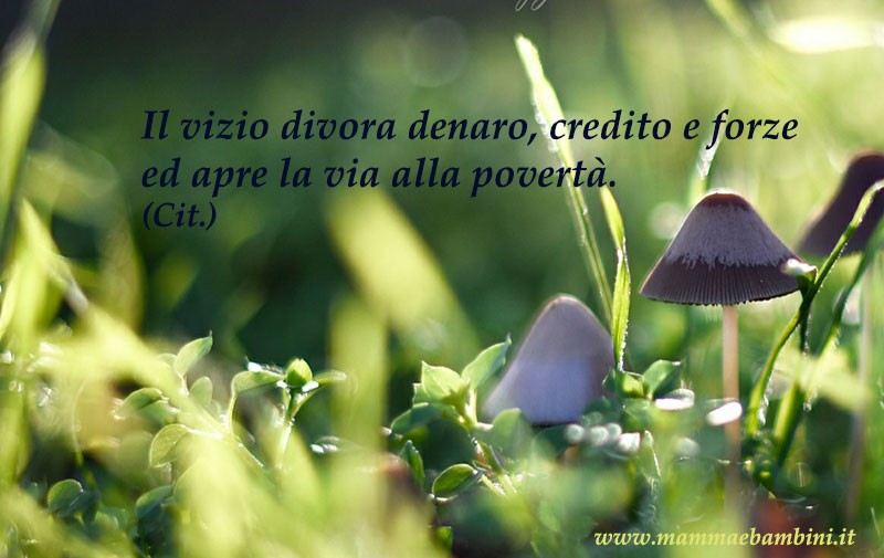 frase poverta