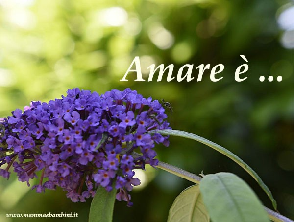 Testo "Amare è ..." (prima parte) 1 testo amore