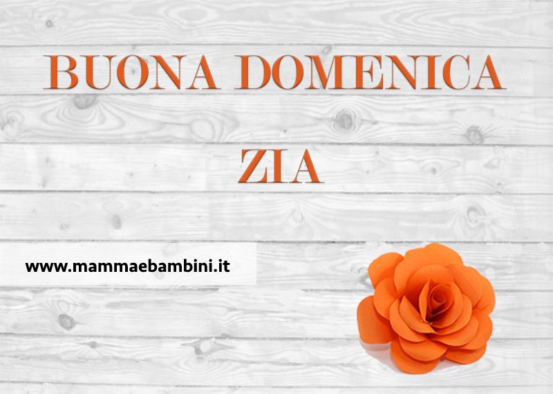 Scritta Buona Domenica in cartoline 8 Buona domenica zia