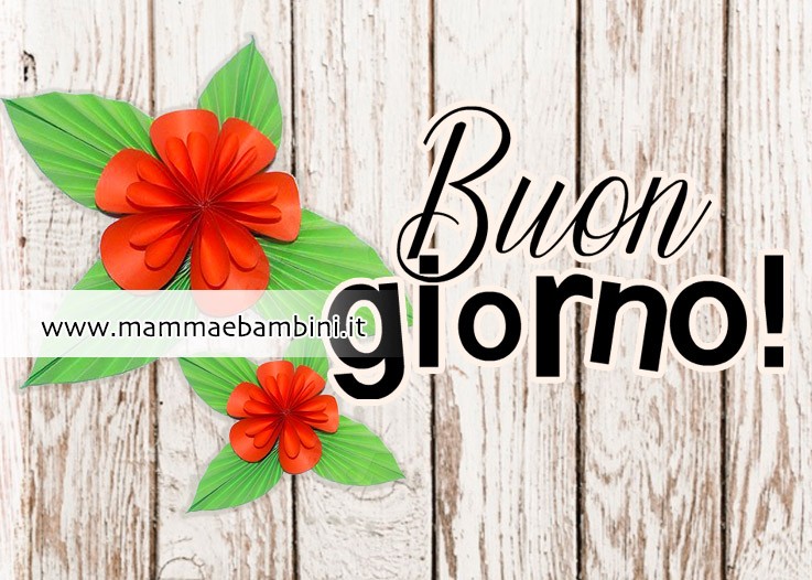 buon giorno fiore