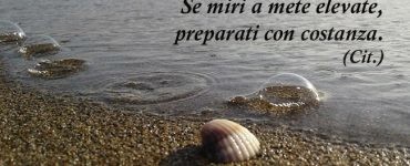 frase mete