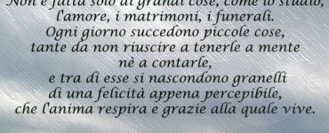 frase sulle vita