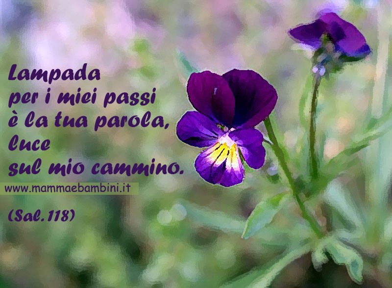FRASE parola