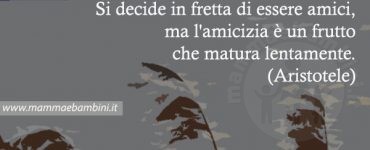 frase amici