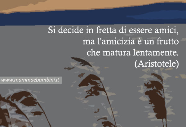 frase amici