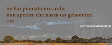 frase gelsomino