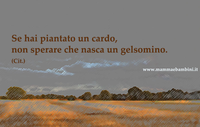 Le frasi piu' belle 1 frase gelsomino