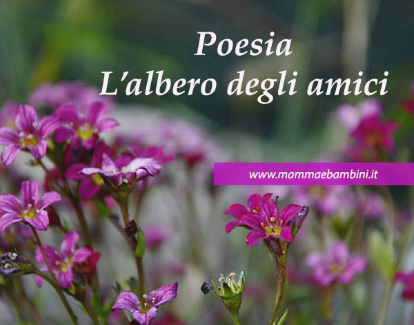 Poesia L'albero degli amici 2 Poesia sugli amici