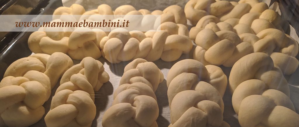 Dolci lievitati: treccine allo yogurt 11 dolci treccine allo yogurt 16