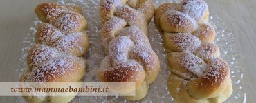 dolci treccine allo yogurt 19