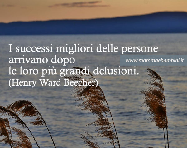 frase successi