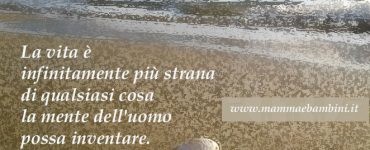 frase vita strana