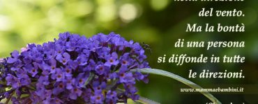 frase fiori