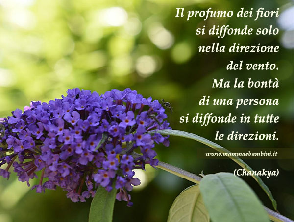 frase fiori