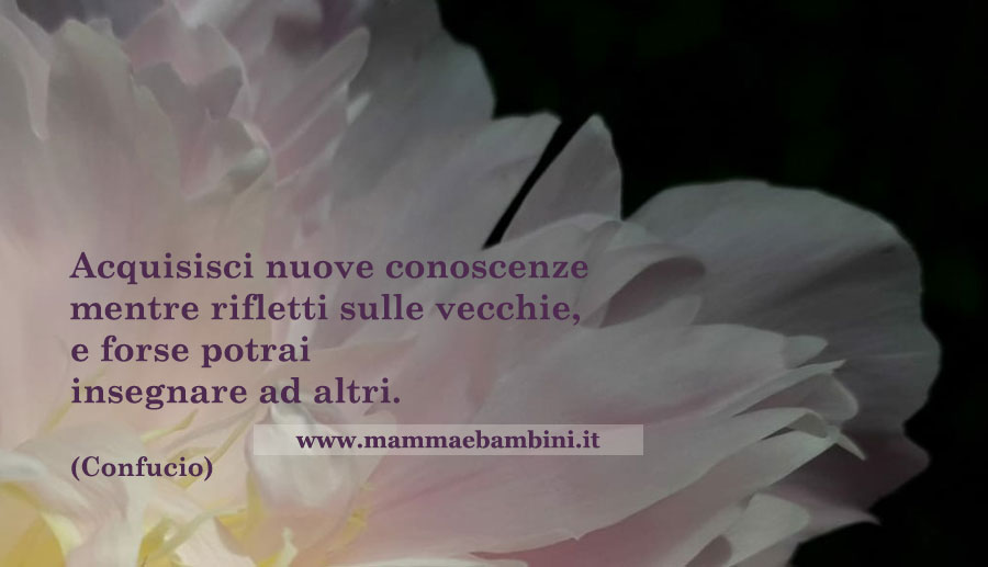 FRASE INSEGNARE