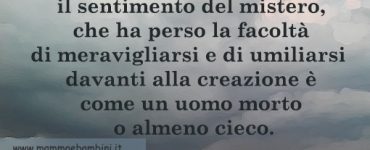 FRASE MERAVIGLIARSI