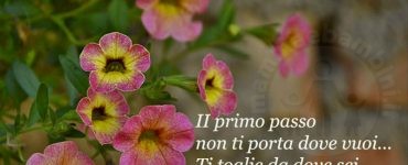 FRASi cammino vita