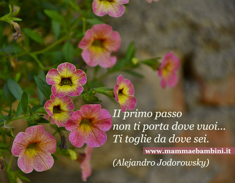 Frase del giorno 12.08 passi 2 FRASi cammino vita