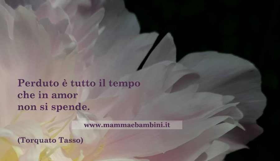 frase amore