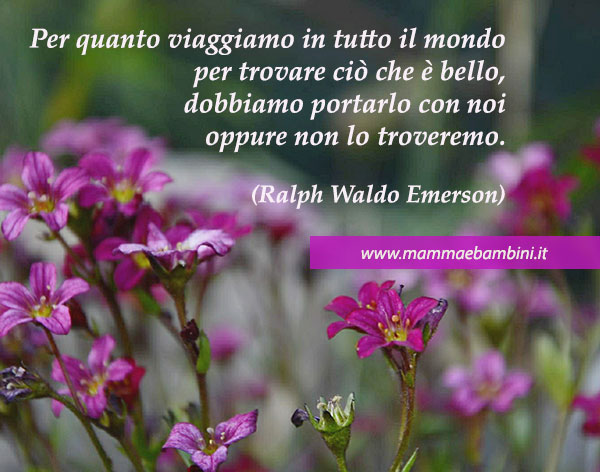 frase bellezza