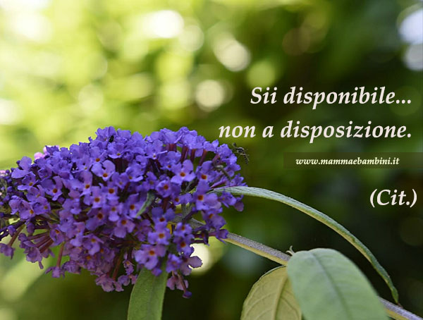 Frase del giorno 21.08 disponibile 2 frase disponibile