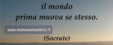 frase vita