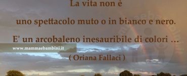 frase colori vita