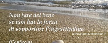 frase ingratitudine