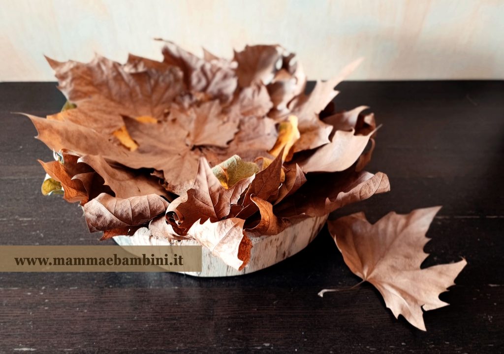 decorazioni con foglie secche autunno