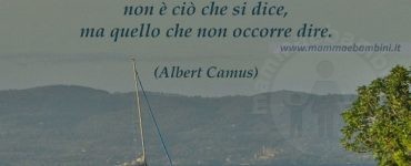 frase amici