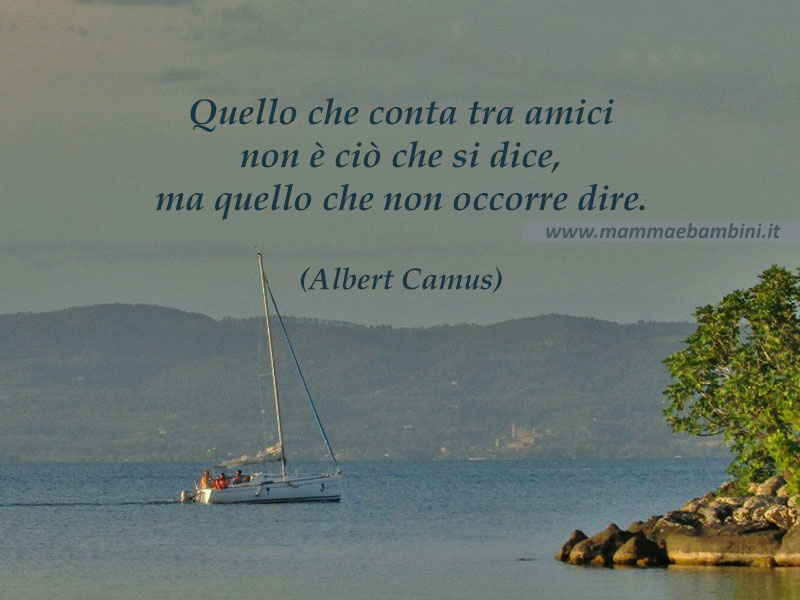 Frase del giorno 01.10 amici 2 frase amici